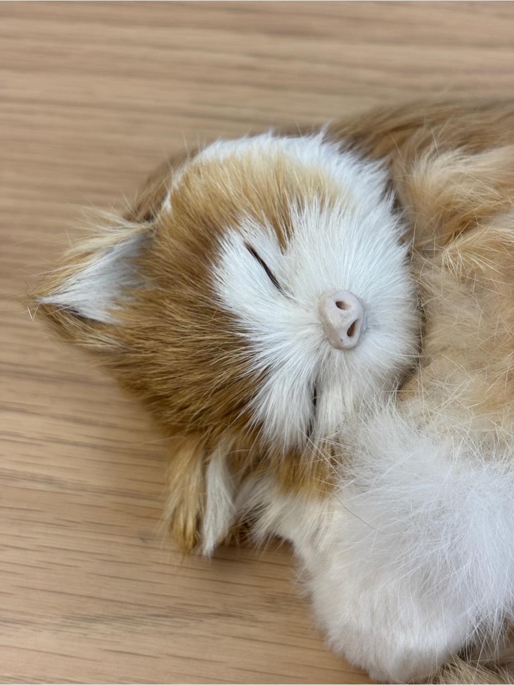 Realistic Sleeping Soft Faux Fur Kitten Figurine - Ginger & White - Picture 2 of 8